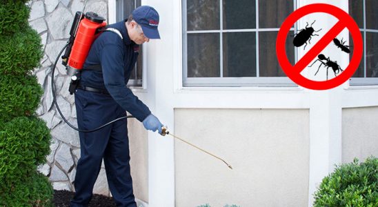 Sinanpaşa Böcek İlaçlama böcek ilaçlama ve haşere kontrolü — ilaclama-tr.com